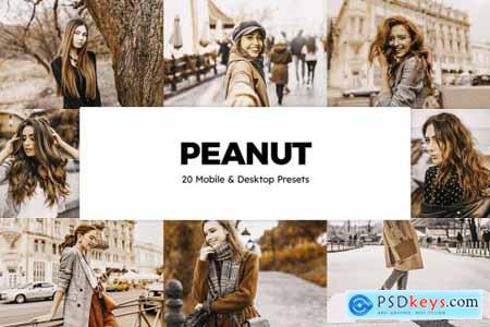 20 Peanut Lightroom Presets & LUTs 6258642