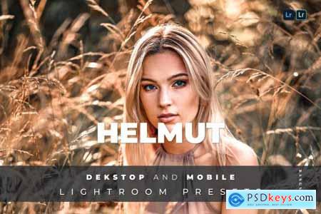 Helmut Desktop and Mobile Lightroom Preset