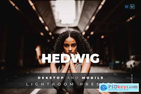 Hedwig Desktop and Mobile Lightroom Preset