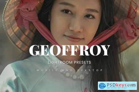 Geoffroy Lightroom Presets Dekstop and Mobile