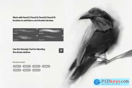pencil lead photoshop brush free download
