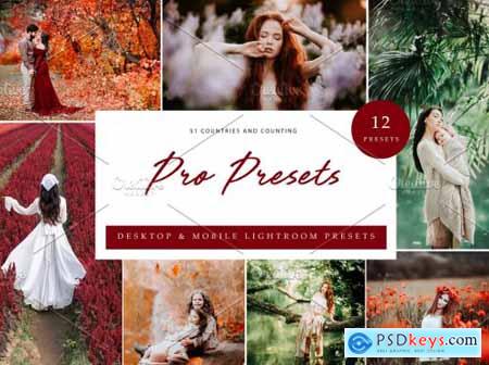 12x Lightroom Presets, Pro Presets 6071347