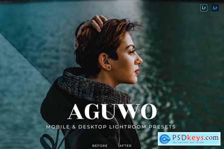Aguwo Mobile and Desktop Lightroom Presets