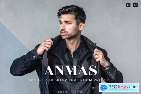 Anmas Mobile and Desktop Lightroom Presets