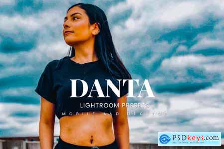 Danta Lightroom Presets Dekstop and Mobile
