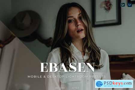 Ebasen Mobile and Desktop Lightroom Presets
