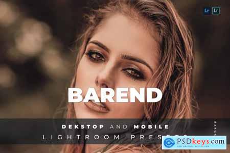 Barend Desktop and Mobile Lightroom Preset