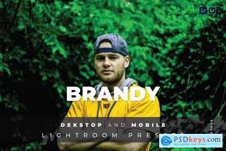 Brandy Desktop and Mobile Lightroom Preset