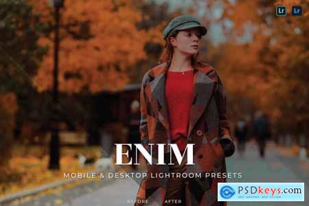 Enim Mobile and Desktop Lightroom Presets