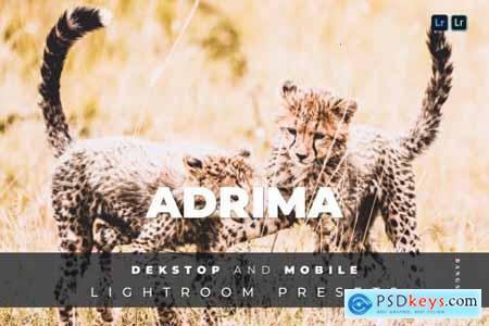 Adrima Desktop and Mobile Lightroom Preset