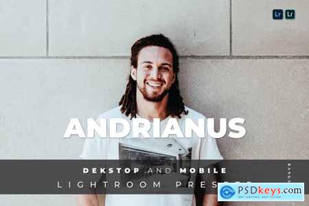 Andrianus Desktop and Mobile Lightroom Preset