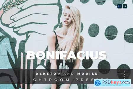 Bonifacius Desktop and Mobile Lightroom Preset