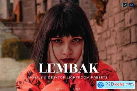Lembak Mobile and Desktop Lightroom Presets