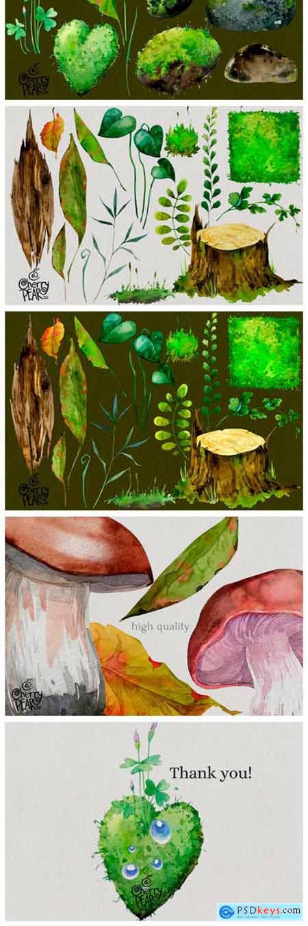 Watercolor Cliparts of Mushrooms 14755508