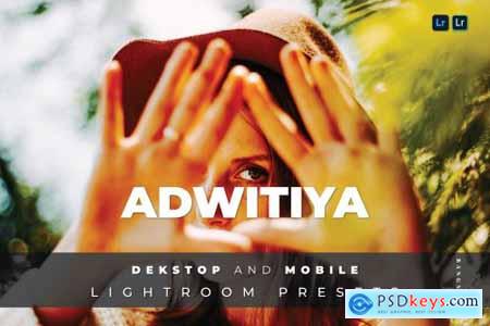 Adwitiya Desktop and Mobile Lightroom Preset
