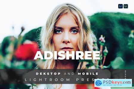 Adishree Desktop and Mobile Lightroom Preset