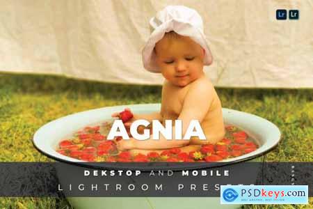 Agnia Desktop and Mobile Lightroom Preset