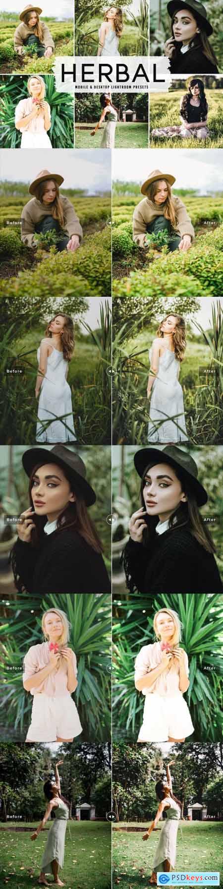 Herbal Pro Lightroom Presets 6283941