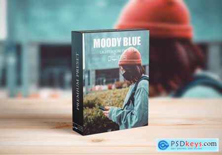Moody Blue Lightroom Presets 6284739