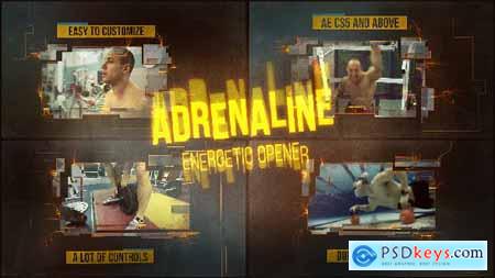 Adrenaline 16309609