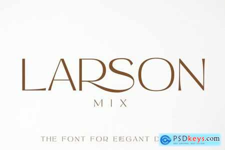 Larson Mix Modern Advertisement Font