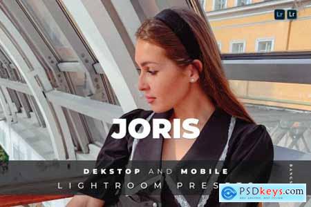 Joris Desktop and Mobile Lightroom Preset