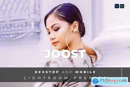 Joost Desktop and Mobile Lightroom Preset