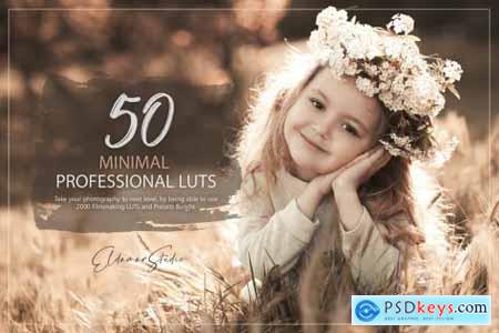 50 Minimal LUTs and Presets Pack
