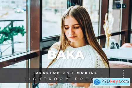 Baka Desktop and Mobile Lightroom Preset