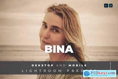Bina Desktop and Mobile Lightroom Preset
