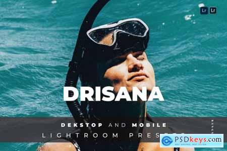 Drisana Desktop and Mobile Lightroom Preset