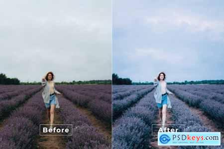 Ditri Desktop and Mobile Lightroom Preset