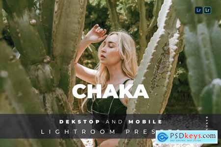 Chaka Desktop and Mobile Lightroom Preset