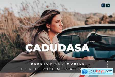 Cadudasa Desktop and Mobile Lightroom Preset