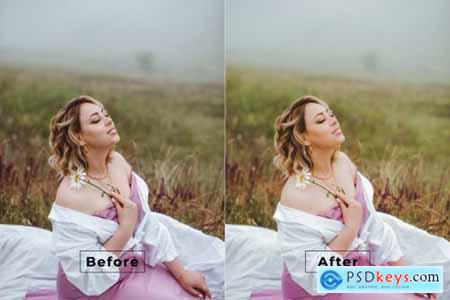 Dwiaria Desktop and Mobile Lightroom Preset