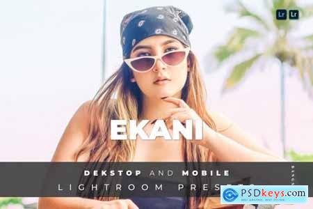 Ekani Desktop and Mobile Lightroom Preset