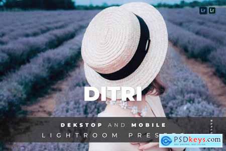 Ditri Desktop and Mobile Lightroom Preset
