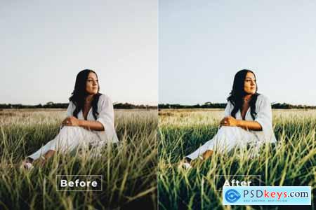 Drisana Desktop and Mobile Lightroom Preset