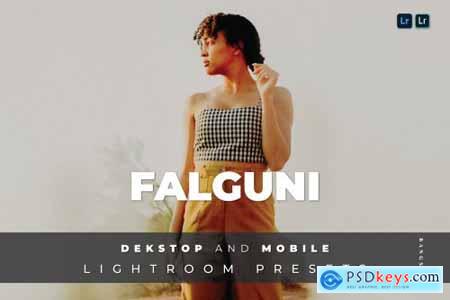 Falguni Desktop and Mobile Lightroom Preset