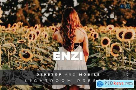 Enzi Desktop and Mobile Lightroom Preset