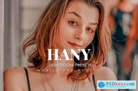 Hany Lightroom Presets Dekstop and Mobile