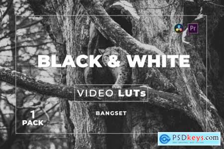 Bangset Black & White Pack 1 Video LUTs