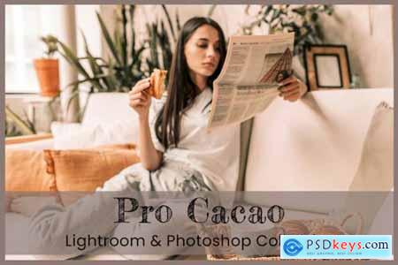 Cacao Lightroom Photoshop LUTs 6364271