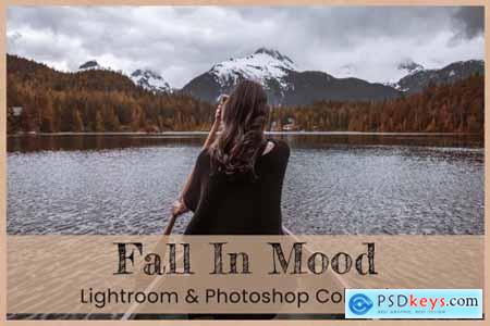 Fall In Mood Lightroom PS Presets 6360419