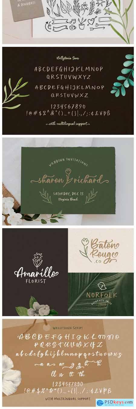 Wellytonia Package Font
