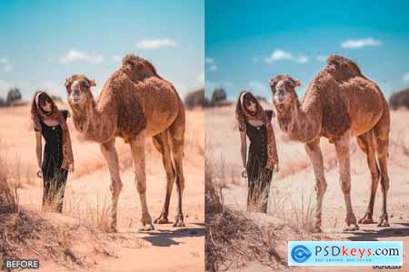 Sahara Desert Lightroom Presets 6317189