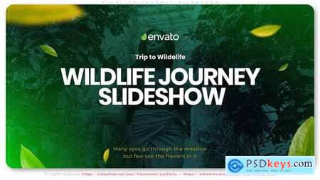 Wildlife Journey Slideshow 33481975