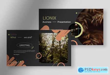 Lionix - Creative Business Presentation Powerpoint C2MMQ48