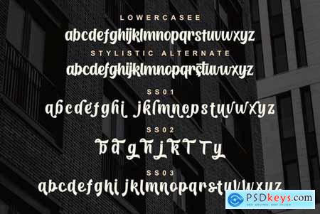Homeville  Elegant Typeface