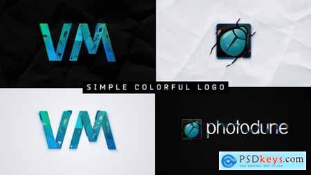 Simple Colorful Logo 33018239